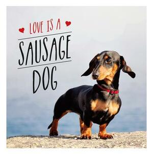 Love Is a Sausage Dog by Charlie Ellis