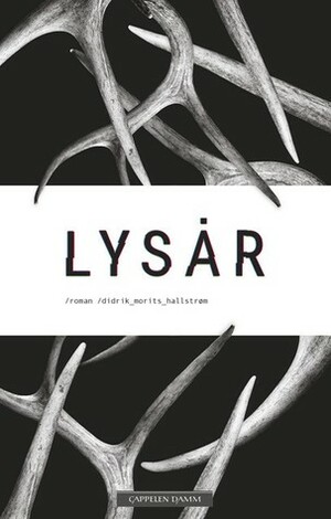 Lysår by Didrik Morits Hallstrøm