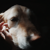 sbidey's profile picture