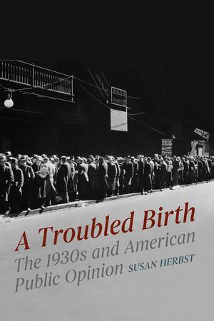 A Troubled Birth: The 1930s and American Public Opinion by Susan Herbst