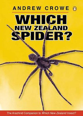 Which New Zealand Spider? by Andrew Crowe