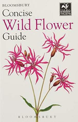 Concise Wild Flower Guide by Bloomsbury