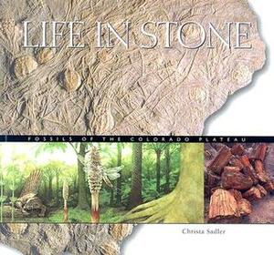 Life in Stone: Fossils of the Colorado Plateau by Christa Sadler