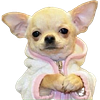 h8herflxzn's profile picture
