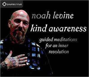 Kind Awareness: Guided Meditations for an Inner Revolution by Noah Levine