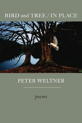 BIRD and TREE / IN PLACE by Peter Weltner