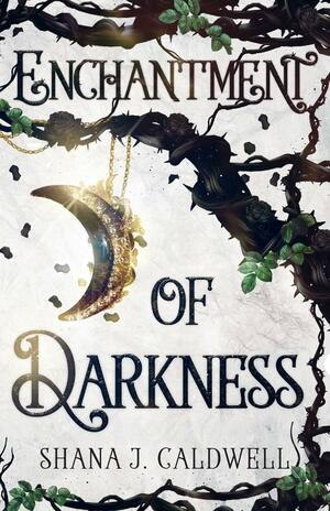 Enchantment of Darkness by Shana J. Caldwell