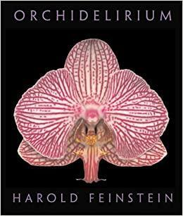 Orchidelirium by Harold Feinstein, Robert Hesse
