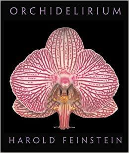 Orchidelirium by Harold Feinstein, Robert Hesse