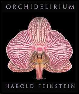 Orchidelirium by Robert Hesse, Harold Feinstein