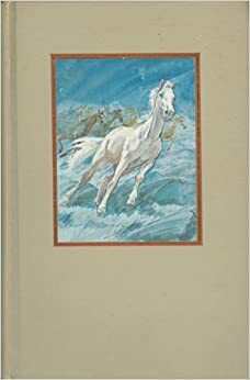 The Silver Brumby / Silver Brumby's Daughter by Elyne Mitchell