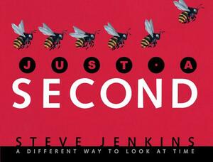 Just a Second: A Different Way to Look at Time by Steve Jenkins
