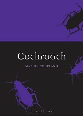 Cockroach by Marion Copeland