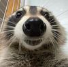 fie_12's profile picture