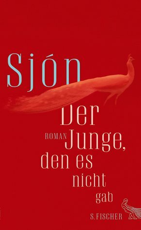 Der Junge, den es nicht gab by Sjón