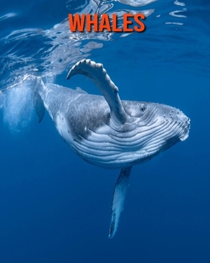 Whales: Learn About Whales and Enjoy Colorful Pictures by Matilda Leo