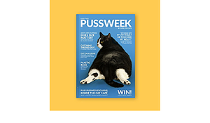 Pussweek: Issue Two by Bexy McFly