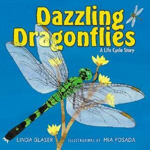 Dazzling Dragonflies: A Life Cycle Story by Linda Glaser, Mia Posada