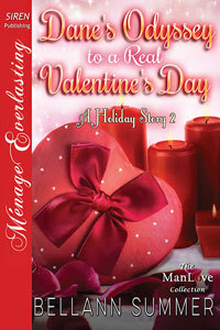 Dane's Odyssey to a Real Valentine's Day by Bellann Summer