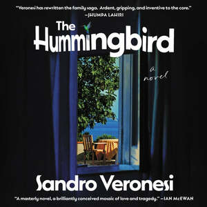 The Hummingbird by Sandro Veronesi