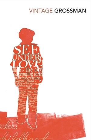 See Under: Love by David Grossman