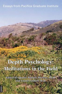 Depth Psychology: Meditations in the Field by Dennis Patrick Slattery
