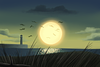 saltuarium's profile picture