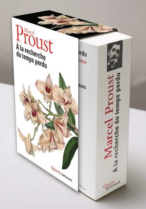 À la recherche du temps perdu by Marcel Proust