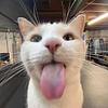 milaa_ccf's profile picture