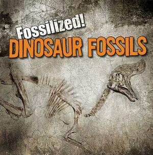 Dinosaur Fossils by Kathleen Connors