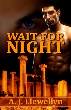 Wait for Night by A.J. Llewellyn