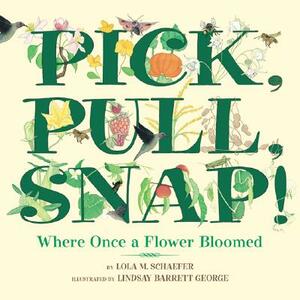 Pick, Pull, Snap!: Where Once a Flower Bloomed by Lola M. Schaefer