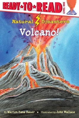Volcano! by Marion Dane Bauer