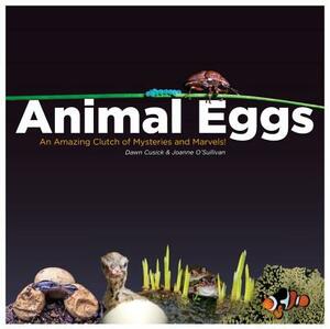 Animal Eggs: An Amazing Clutch of Mysteries and Marvels by Joanne O'Sullivan, Dawn Cusick