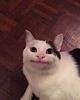 ninesoka's profile picture