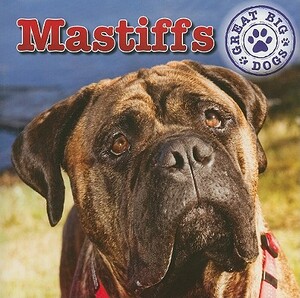 Mastiffs by Maria Nelson