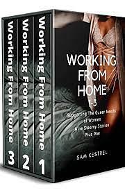 Working From Home 1-3: Supporting the Queer Needs of Women Nine Steamy Stories Plus One by Sam Kestrel