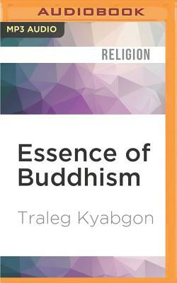 Essence of Buddhism: An Introduction to Its Philosophy and Practice (Shambhala Dragon Editions) by Traleg Kyabgon