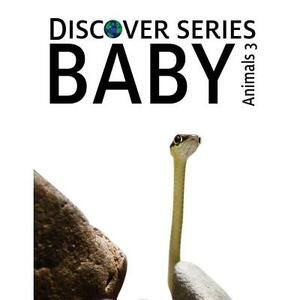 Baby Animals 3: Discover Series Picture Book for Children by Xist Publishing