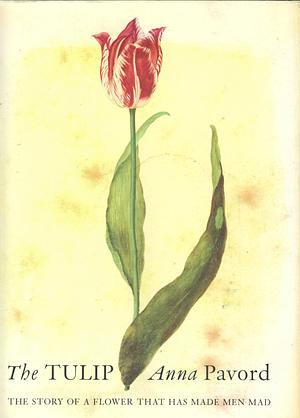 The Tulip by Anna Pavord