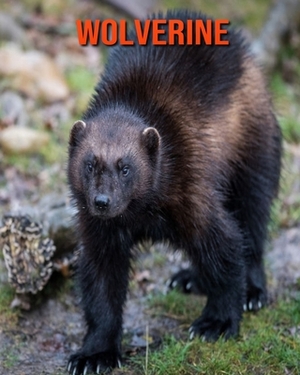 Wolverine: Learn About Wolverine and Enjoy Colorful Pictures by Matilda Leo