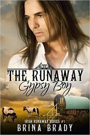 The Runaway Gypsy Boy by Brina Brady