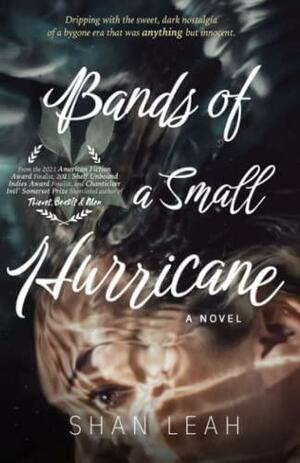 Bands of a Small Hurricane by Shan Leah