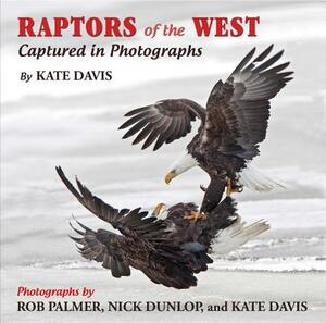 Raptors of the West: Captured in Photographs by Kate Davis