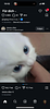 shinymilotic's profile picture