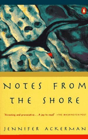 Notes from the Shore by Karin Grosz, Jennifer Ackerman