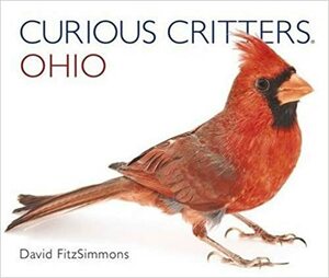 Curious Critters Ohio by David FitzSimmons