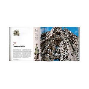 Basilique de la Sagrada Familia: l'œevre majeure de l'architecte Antoni Gaudí by Daniel R. Caruncho, Carlos Giordano, Nicolás Palmisano, Ricard Regàs