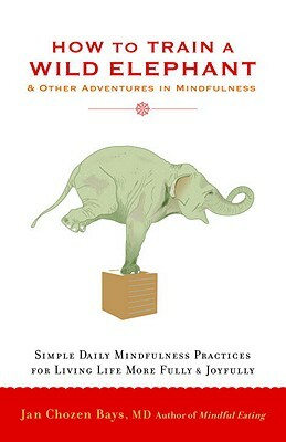 How to Train a Wild Elephant: And Other Adventures in Mindfulness by Jan Chozen Bays