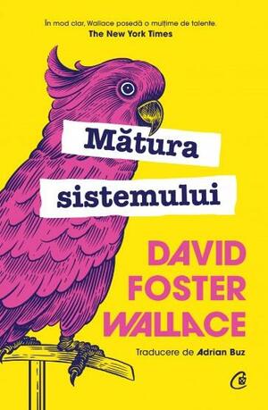 Mătura sistemului by David Foster Wallace